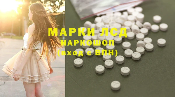 дживик Пересвет