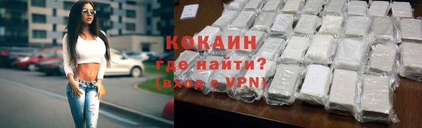 дживик Пересвет