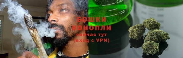дмт Переславль-Залесский