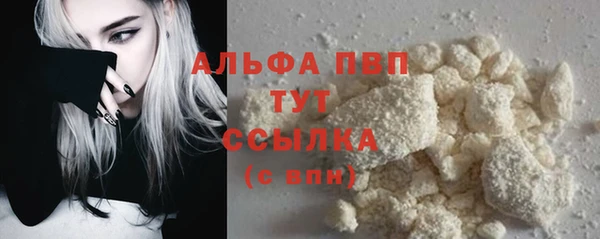 дживик Пересвет