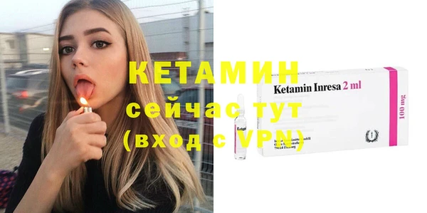 дживик Пересвет