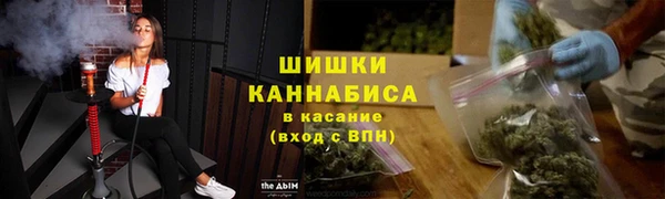 дживик Пересвет
