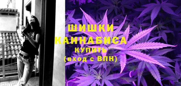 дмт Переславль-Залесский