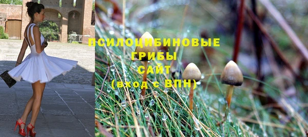дживик Пересвет