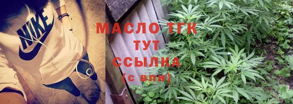 дмт Переславль-Залесский