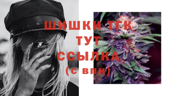 меф Пестово