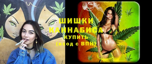 дмт Переславль-Залесский
