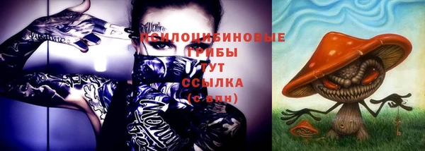 меф Пестово
