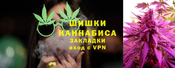 дмт Переславль-Залесский