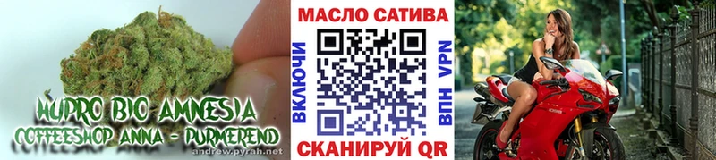 мориарти телеграм  Краснокаменск  ТГК THC oil 