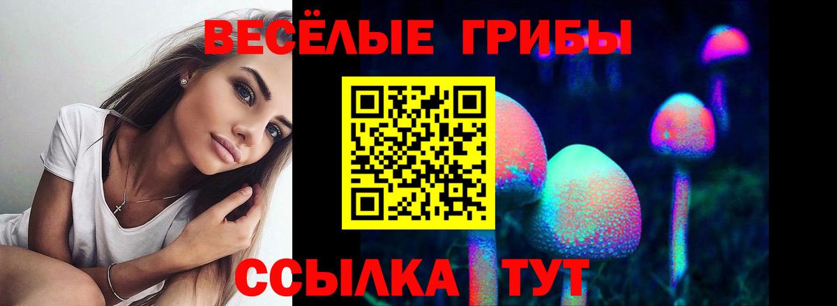 Галлюциногенные грибы Magic Shrooms  Галлюциногенные грибы Cubensis  Краснокаменск  дарнет шоп  Вход с VPN 